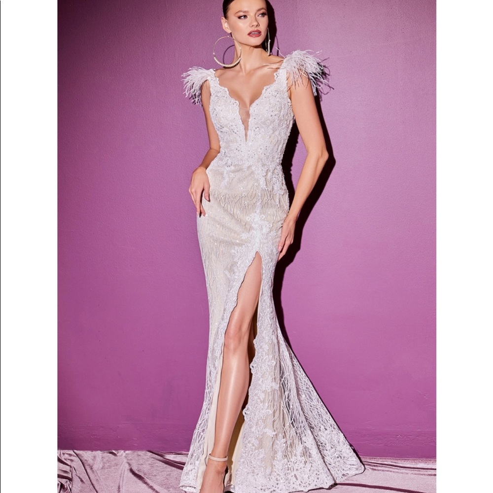 Lace Fitted Wedding gown